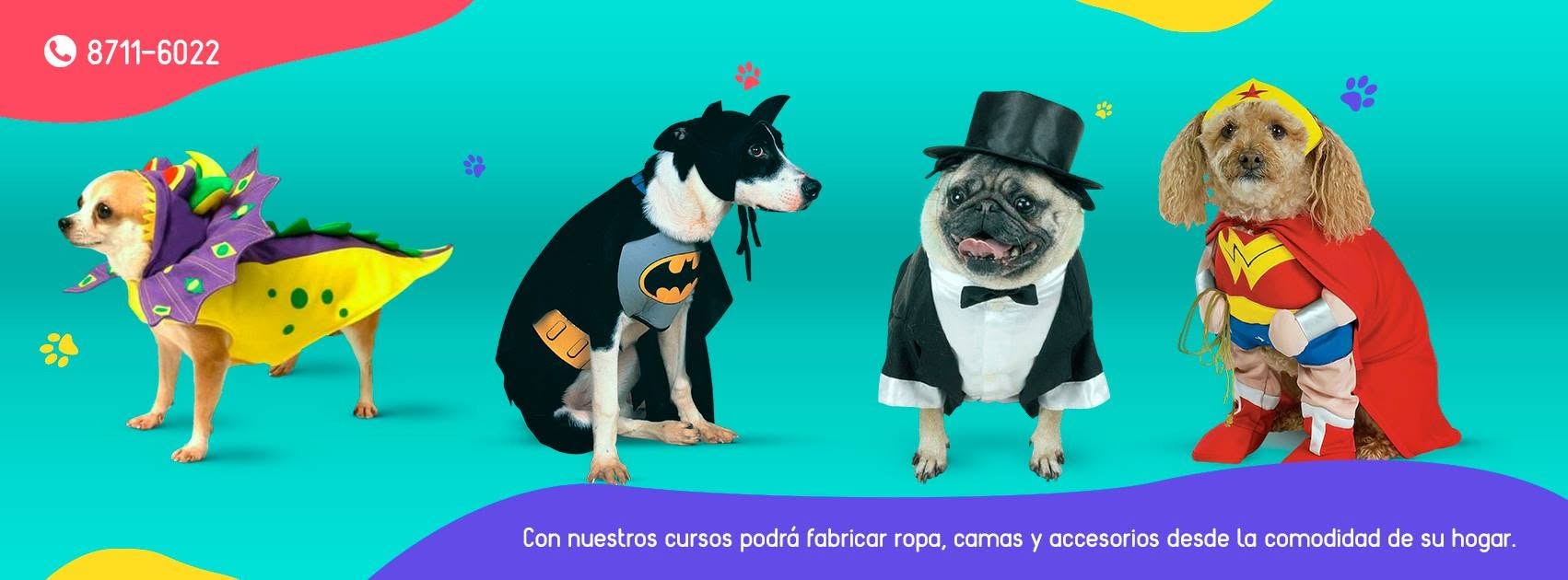 Perritos con disfraces de dinosaurio, Batman, smoking y Mujer Maravilla, del curso de ropa para mascotas